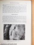 Clinical Applications of Cardiac Digital Angiography