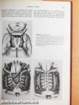 Congenital Deformities of the Chest Wall and Their Operative Correction