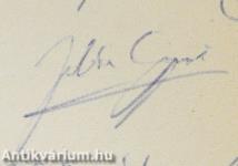 Vízió (dedikált példány)