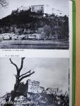 A Monte Cassinó-i csata