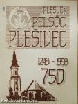 Vytahy z dejín Plesivca