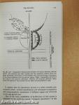 Diagnosis and Treatment of Functional Infertility