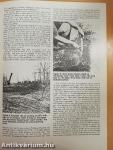 Flying Saucer Review June 1981