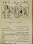 Le Journal de la Jeunesse 1896. I./Chronique de la Jeunesse (fél évfolyam)