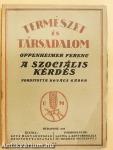A szociális kérdés