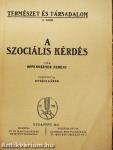 A szociális kérdés
