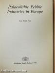 Palaeolithic Pebble Industries in Europe