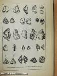 Palaeolithic Pebble Industries in Europe