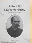 Szürke kis regény