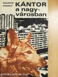 Kántor a nagyvárosban