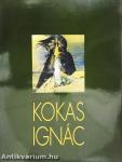 Kokas Ignác