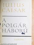 A polgárháború