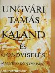 Kaland és gondviselés