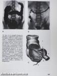 Az emberi test 1-2.