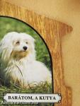 Barátom, a kutya