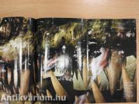 National Geographic Magyarország 2005. január-december