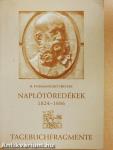 Naplótöredékek 1824-1886 I.