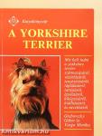 A yorkshire terrier