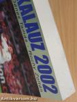 VB kalauz 2002