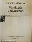 Várakozás a tavaszban