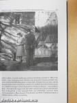 A hely hatalma: lokális szcénák - globális folyamatok