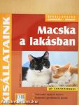 Macska a lakásban