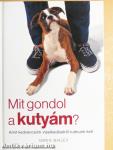 Mit gondol a kutyám?