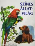 Színes állatvilág