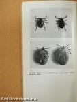 A kullancsencephalitis
