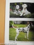 A dalmata