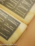 Enczyklopaedia, a női kézimunkák ismerettára (rossz állapotú)