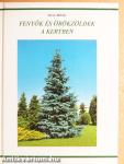 Fenyők és örökzöldek a kertben