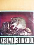 Kisemlőseinkről