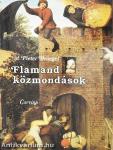 Flamand közmondások