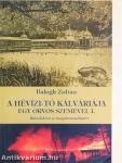 A Hévízi-tó kálváriája egy orvos szemével I.