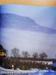 Balaton