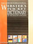 The New International Webster's Pocket Dictionary of the English Language