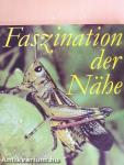 Faszination der Nähe