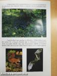 Szarvasi Arborétum