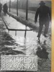 Kispesti Krónika 2007/2-3.