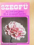 Szegfű az üvegházban és a szabadföldön