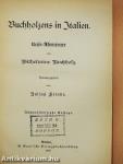 Buchholzens in Italien (gótbetűs)