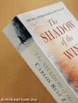 The shadow of the wind