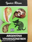 Argentína viharszünetben