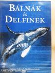 Bálnák és delfinek