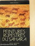 Peintures rupestres du Sahara