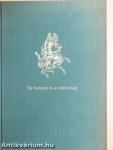Sir Gawain és a zöld lovag