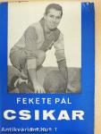 Csikar