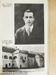 Sipos Domokos