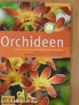 Orchideen